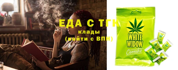 индика Богородицк