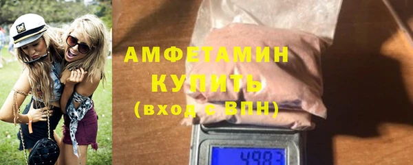 индика Богородицк