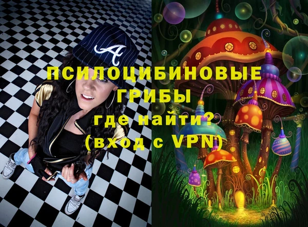 дмт Богородск