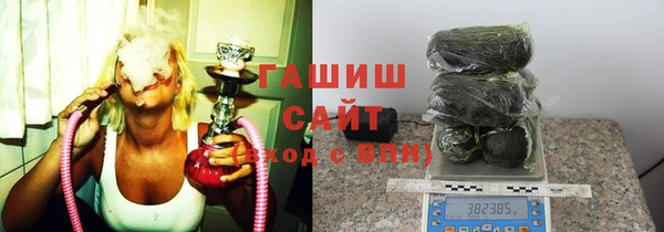 индика Богородицк