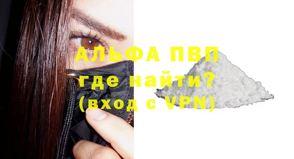индика Богородицк