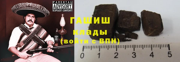 индика Богородицк
