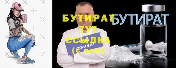 индика Богородицк