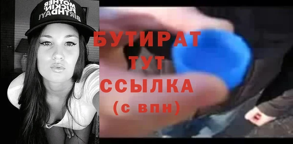 индика Богородицк