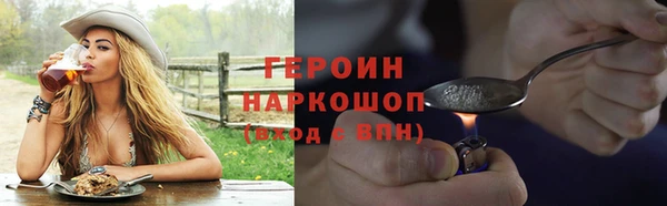 индика Богородицк