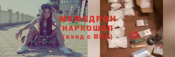 индика Богородицк