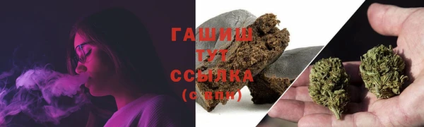 индика Богородицк