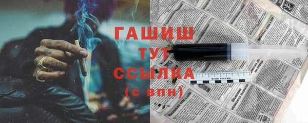 индика Богородицк