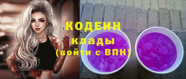 дмт Богородск