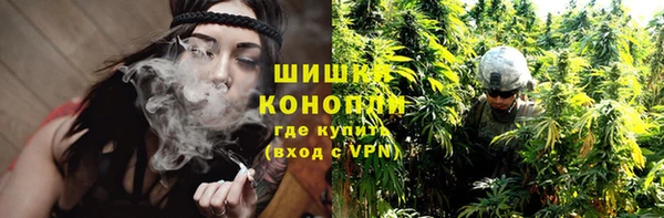 дмт Богородск