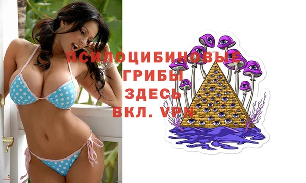 дмт Богородск
