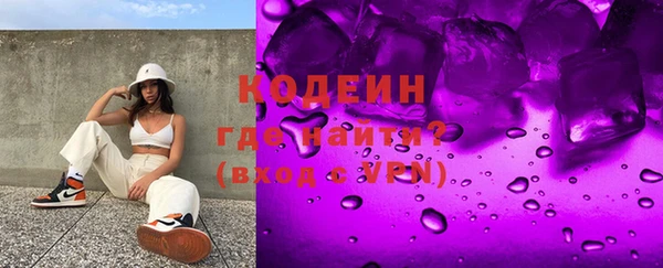 индика Богородицк