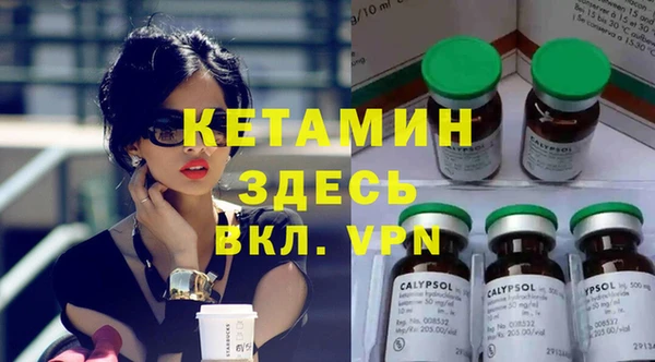 индика Богородицк