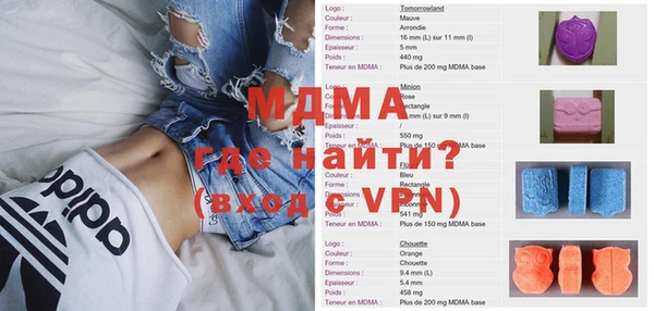 индика Богородицк