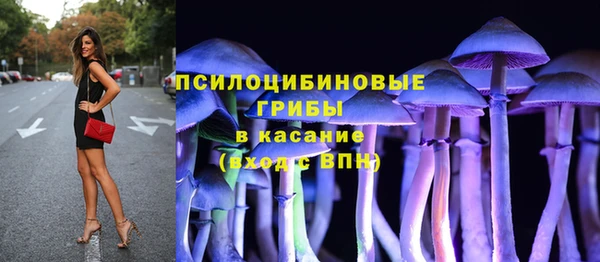 дмт Богородск