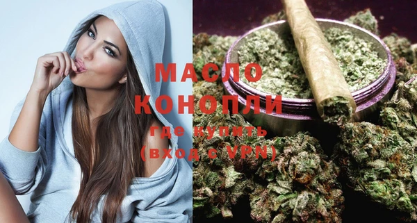 индика Богородицк