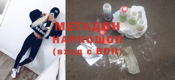 индика Богородицк