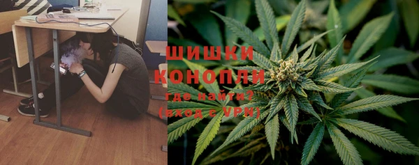 дмт Богородск