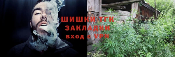 дмт Богородск