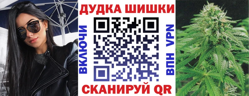 Бошки Шишки гибрид Томмот